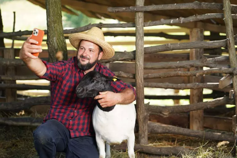 cucuietii din deal (1)