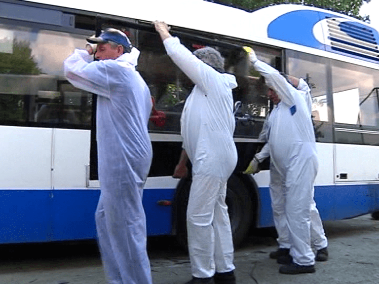geamuri autobuze (2)