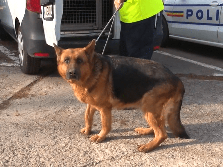 vlcsnap-0491-05-28-12h01m14s271