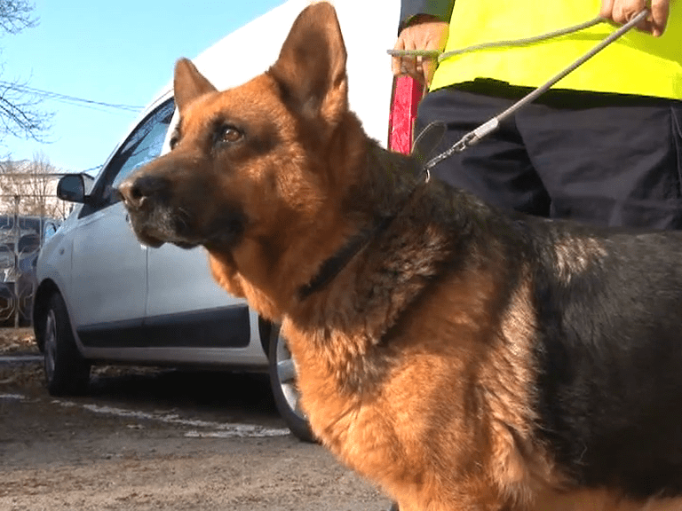 vlcsnap-1444-08-17-17h22m59s535