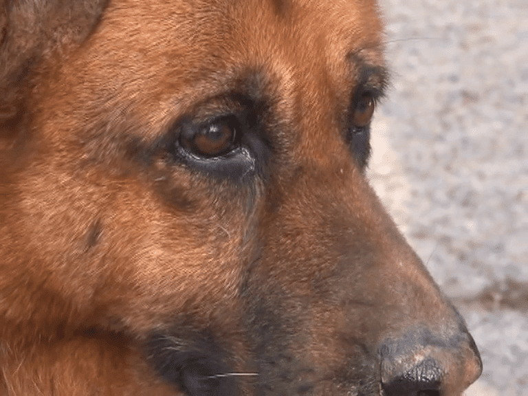 vlcsnap-2607-05-28-21h48m18s899