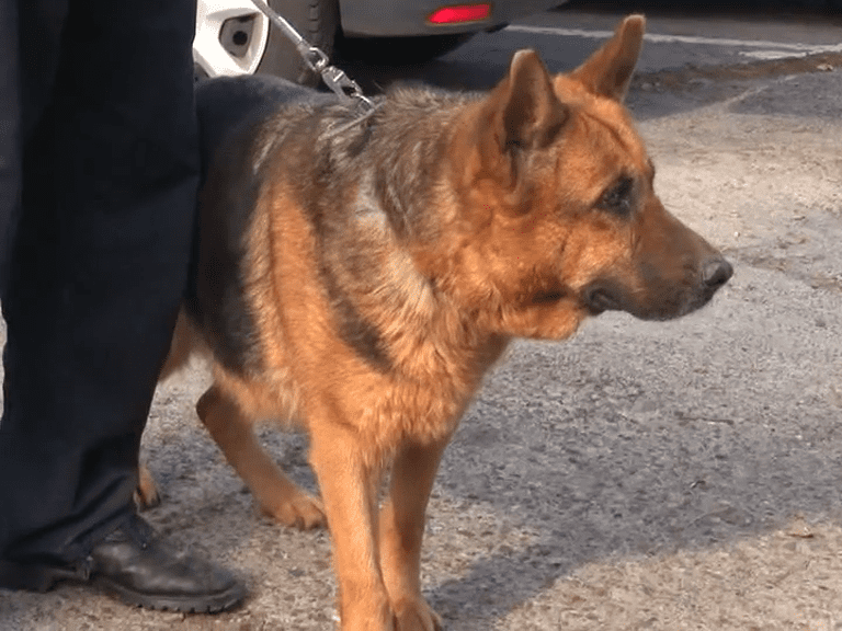 vlcsnap-3807-12-04-06h42m16s088