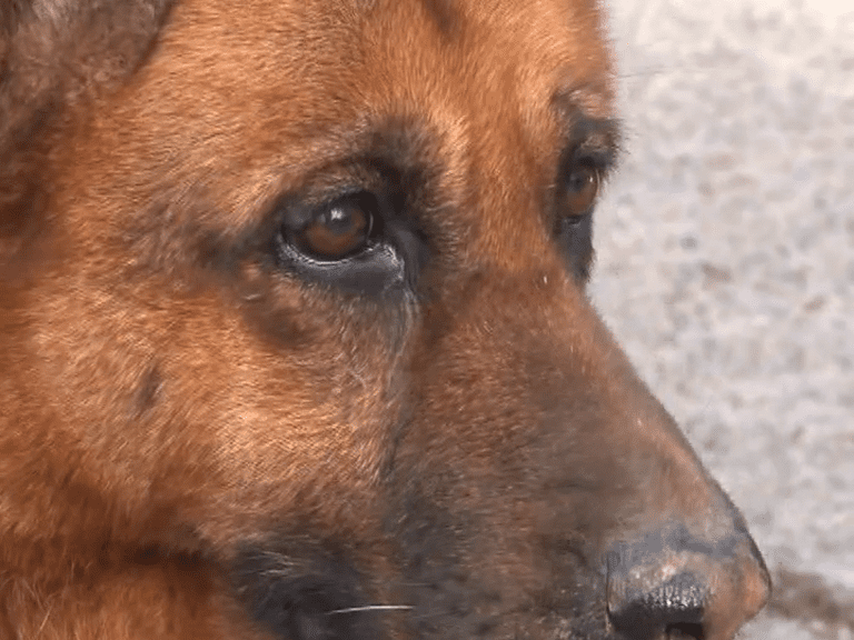 vlcsnap-7171-09-18-08h28m07s023