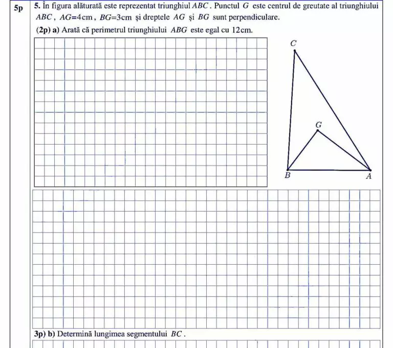 Subiecte simulare evaluare națională Matematică 2022. Ce subiecte au avut de rezolvat elevii. Foto: edupedu.ro