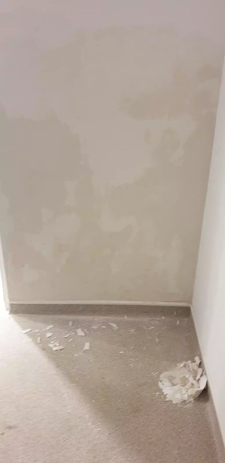 24522333544690634264845682645069293318783246n