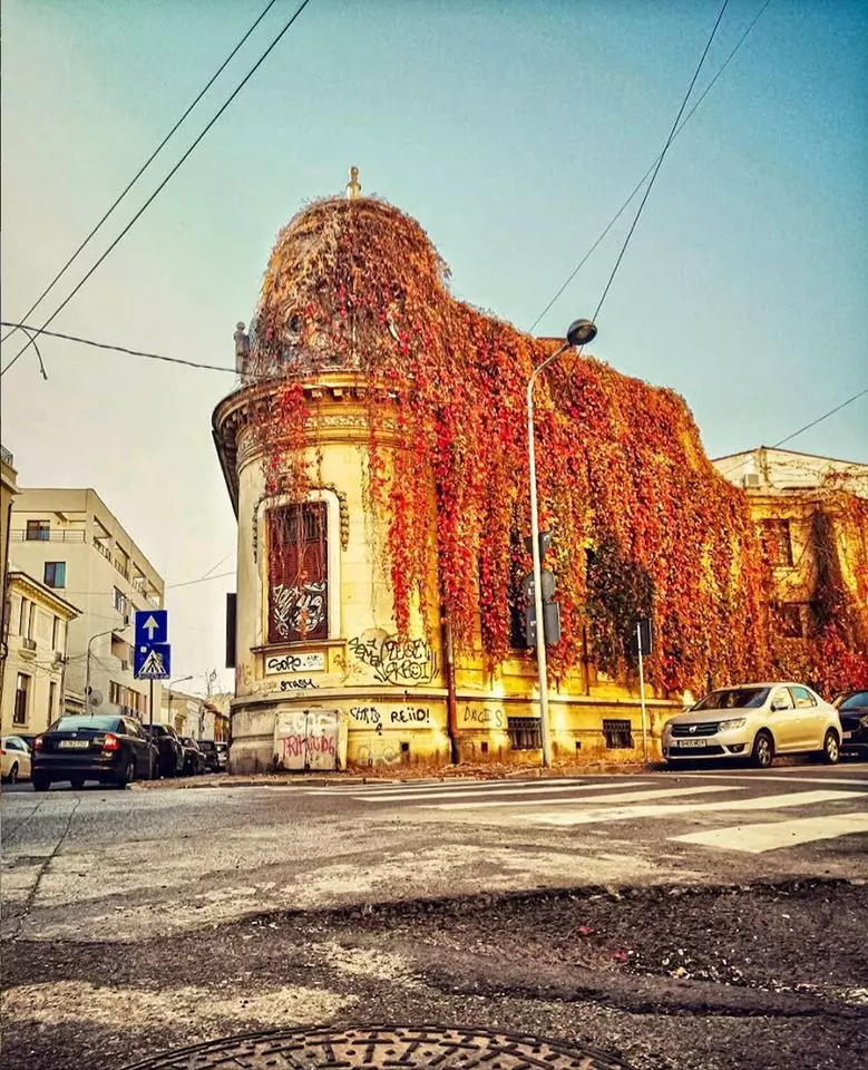 Locul 7. Foto mamapetoc 146 voturi / Casa cu Fereastra Rotunda