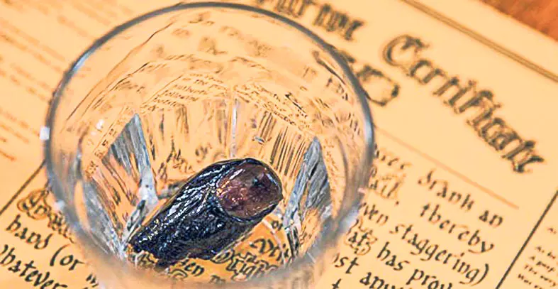 14-sourtoe-cocktail_-foto-daw-copy.jpg