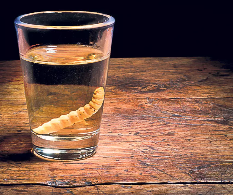 14-mezcal.jpg