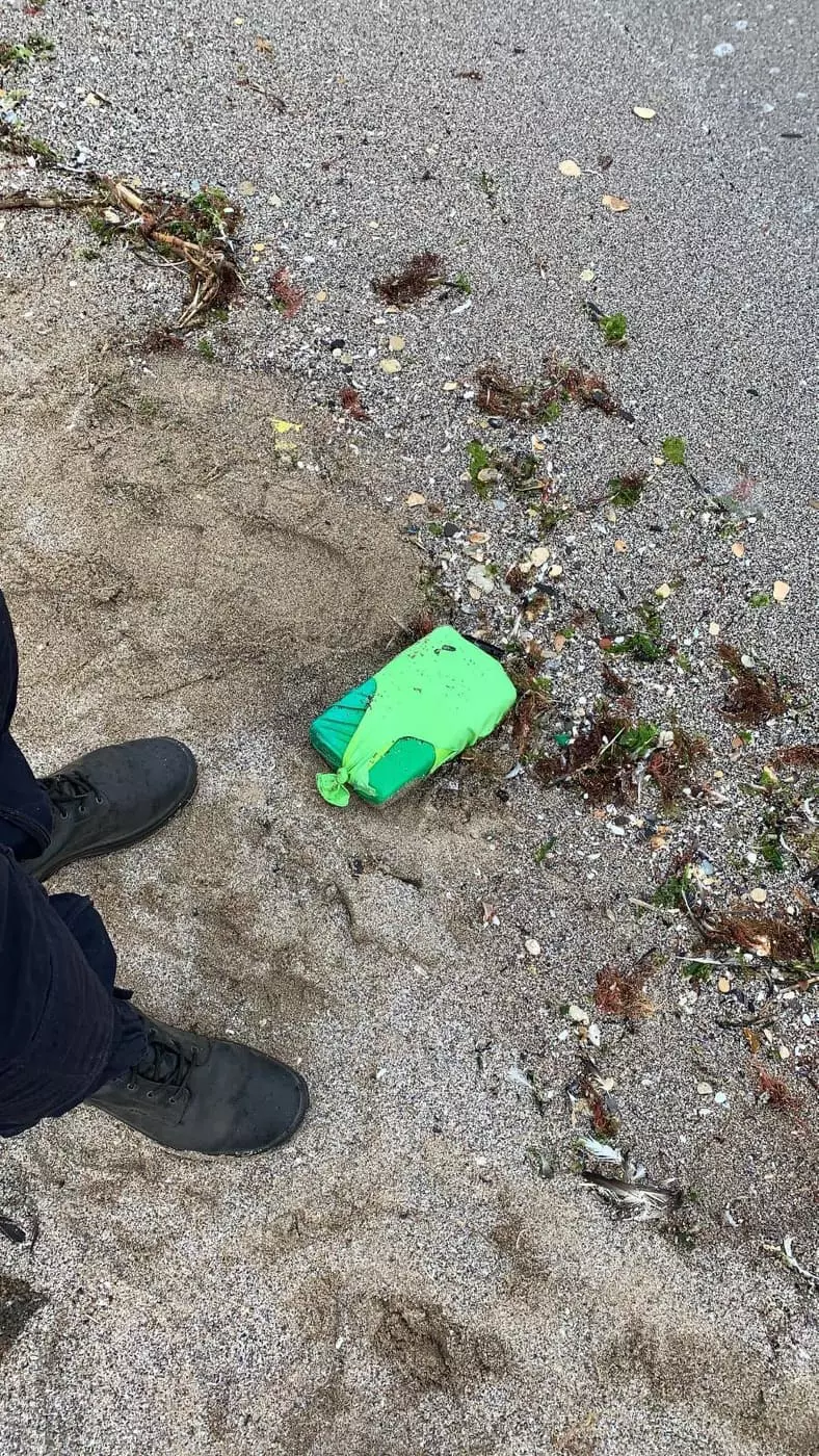 droguri3