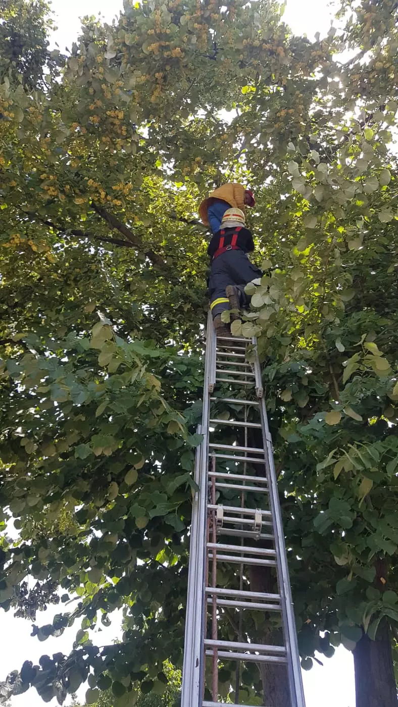 POZE TEI Sursa ISU (4)