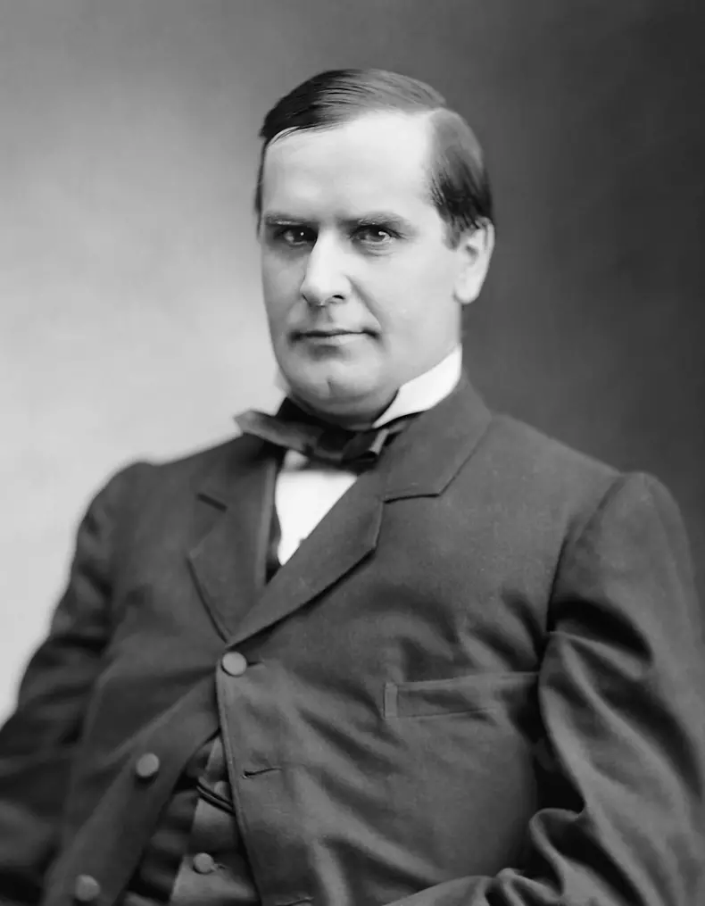 Portrait of William McKinley during his term as U.S. Congressman for Ohio.