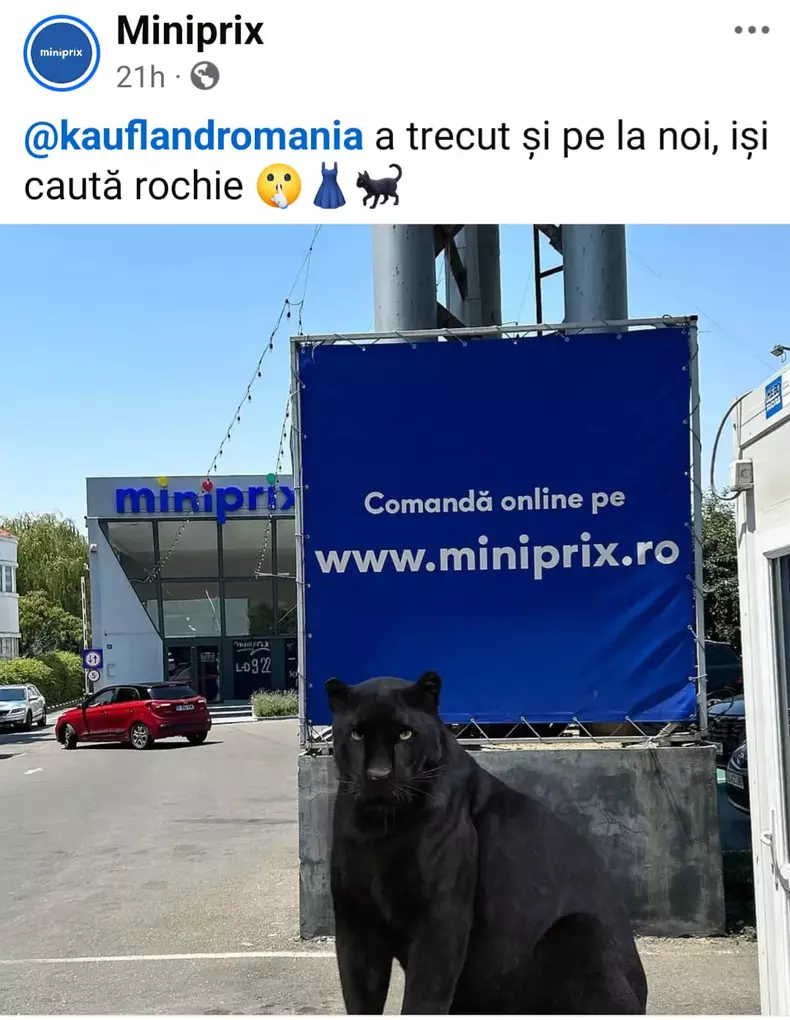 reclama Miniprix-pantera neagră