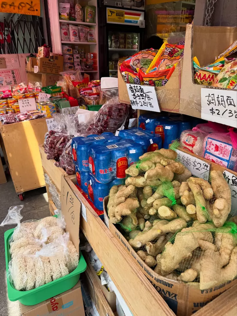 gabriela cristea china town san francisco america 2