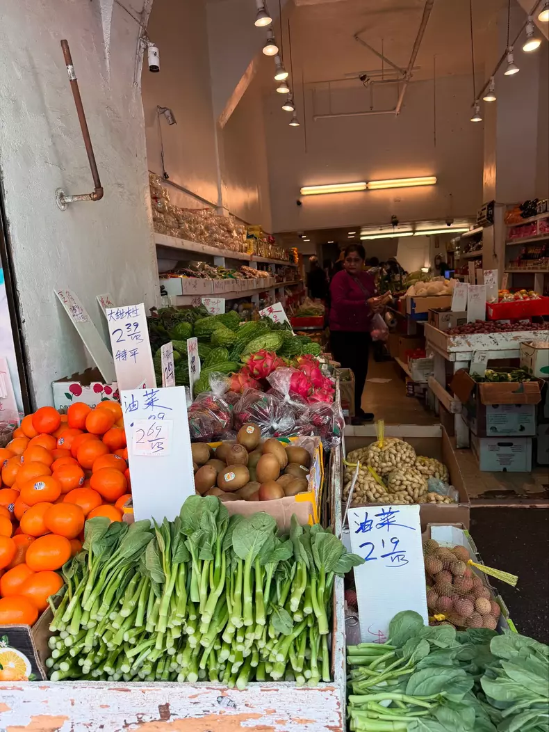 gabriela cristea china town san francisco america 4