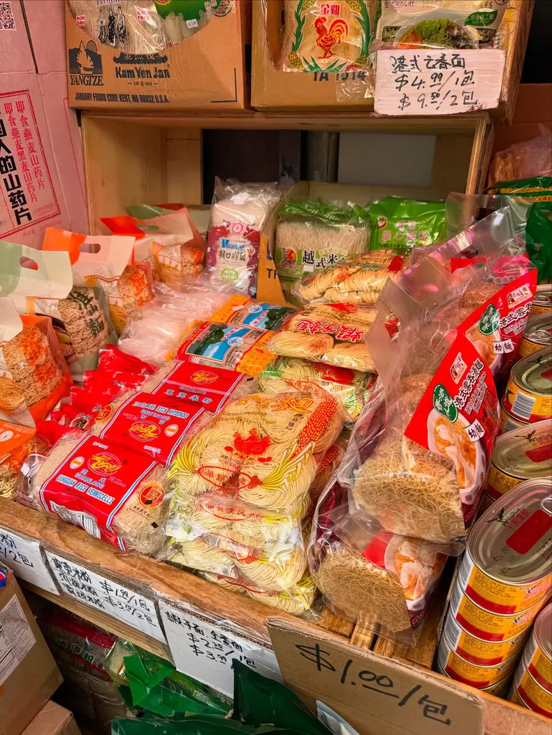 gabriela cristea china town san francisco america 5