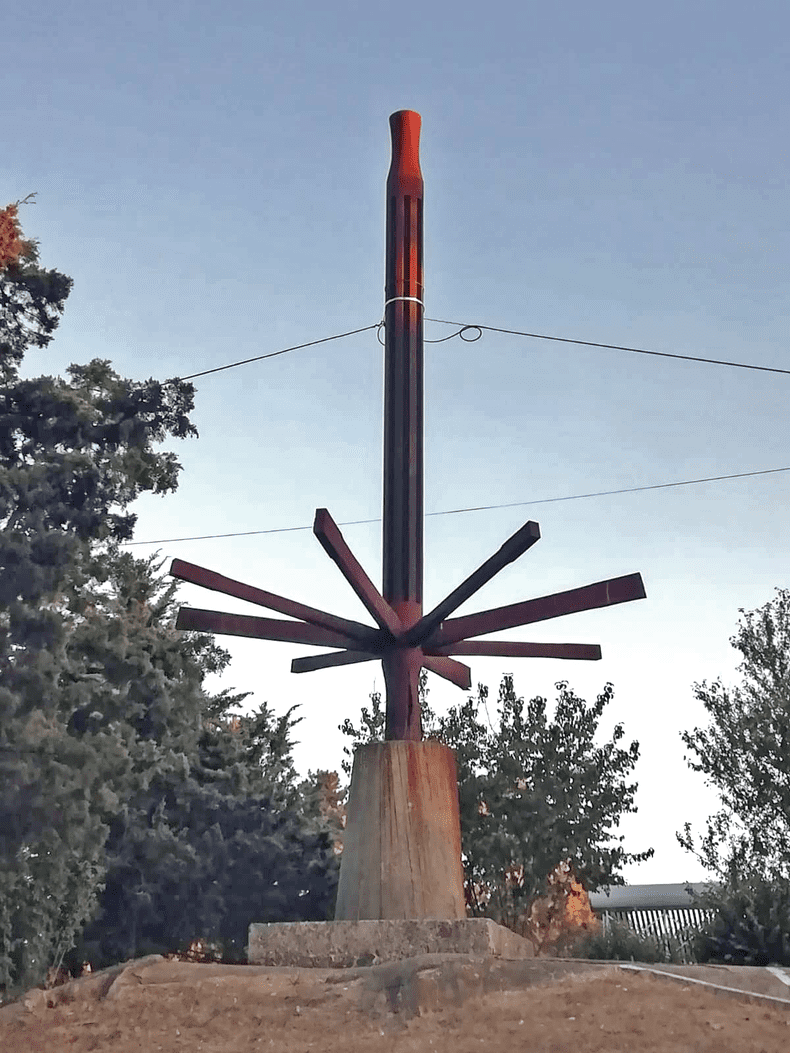 fructul soarelui 2019 (3)