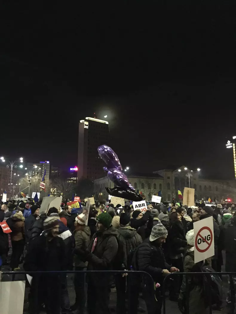 16466525_10154950841397902_1711837216_o