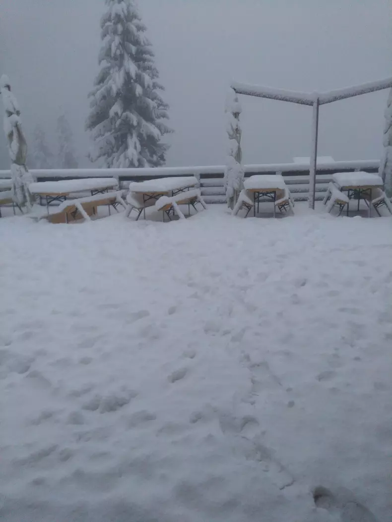 Ninsoare la Postăvarul