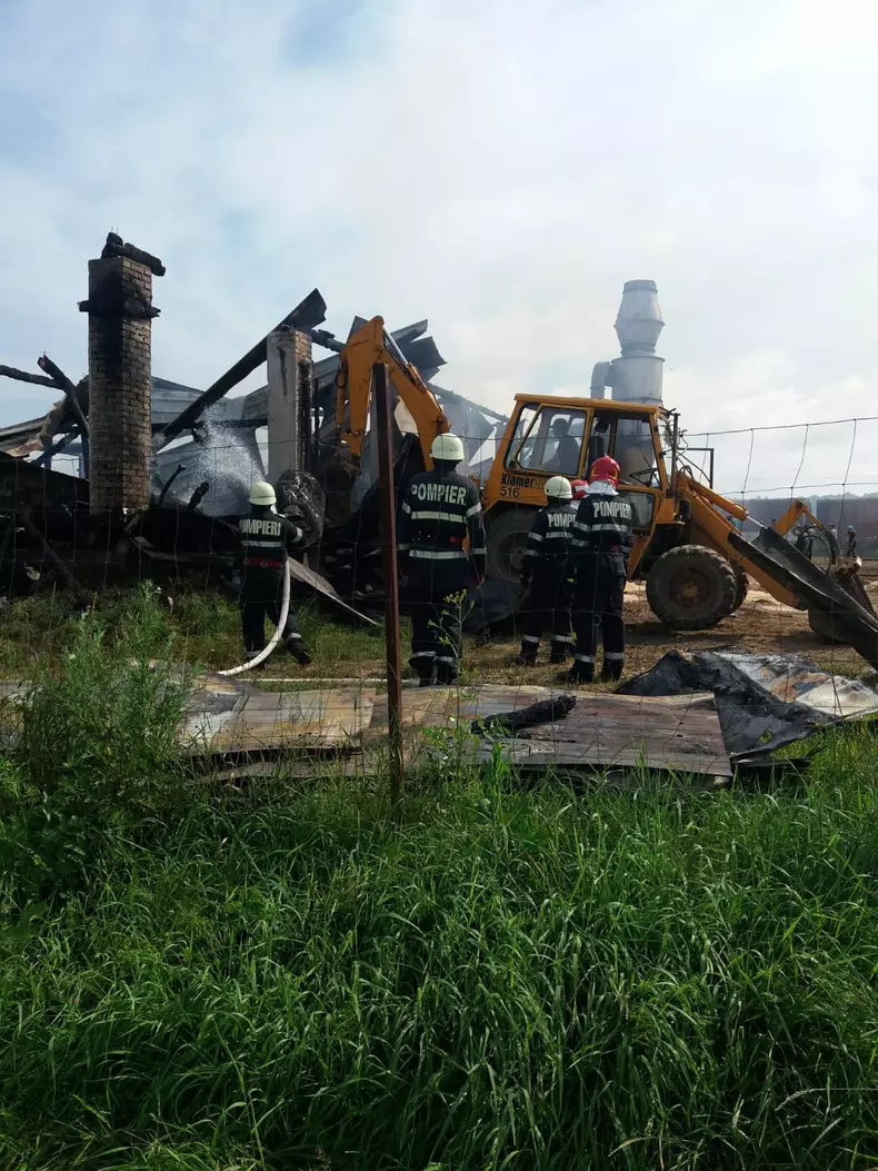 Incendiu la o hală de prelucrare a lemnului din judeţul Covasna (3)