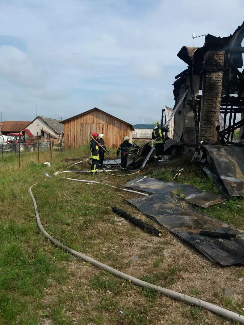 Incendiu la o hală de prelucrare a lemnului din judeţul Covasna (4)
