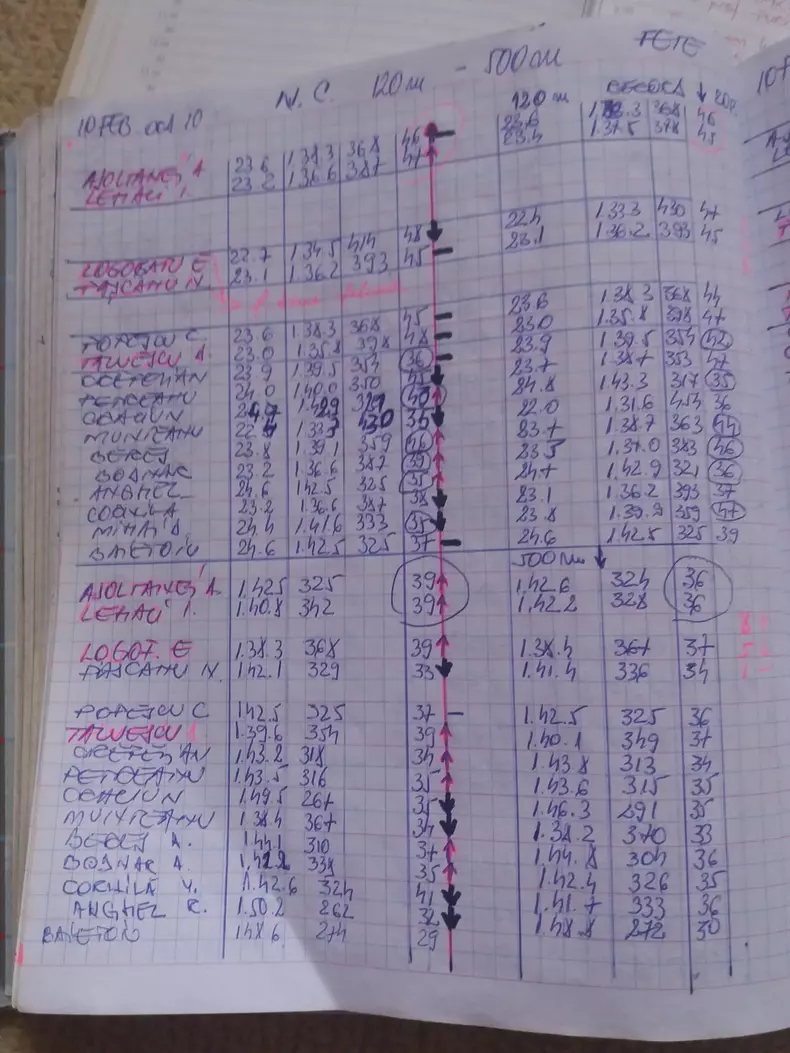 38689027_229397694385505_2118683542933209088_n