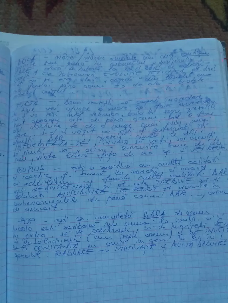 38773267_307699256465972_665750631306231808_n