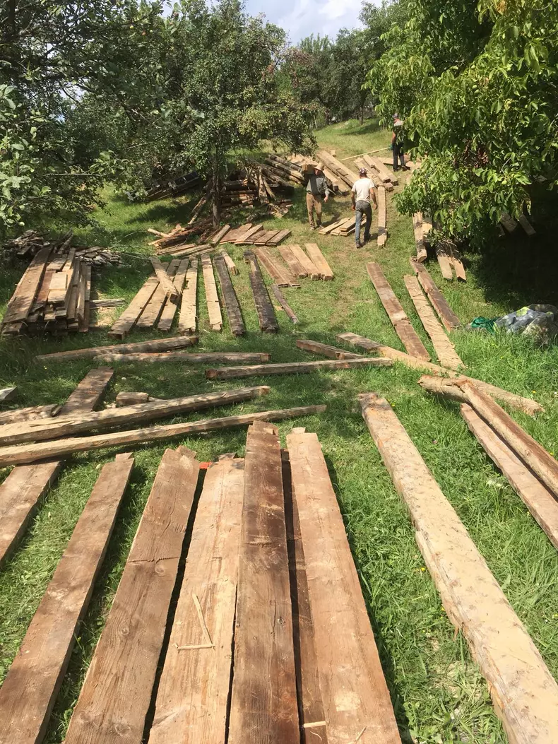 sorin brotnei ultimul trib (9)