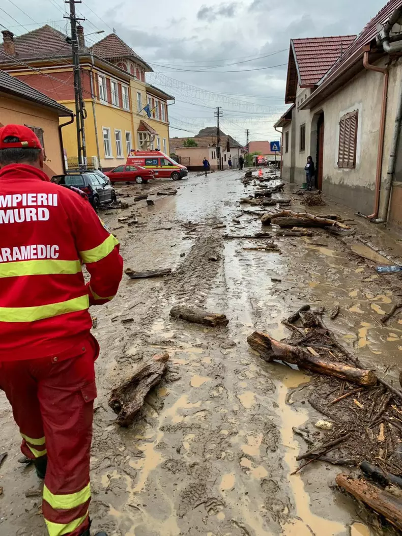 61590361_1317165278459180_5259692958717837312_n