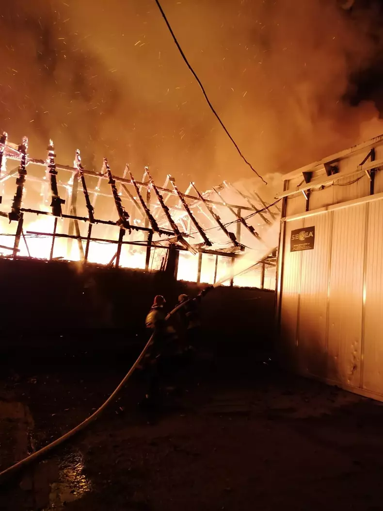Incendiu Reghin