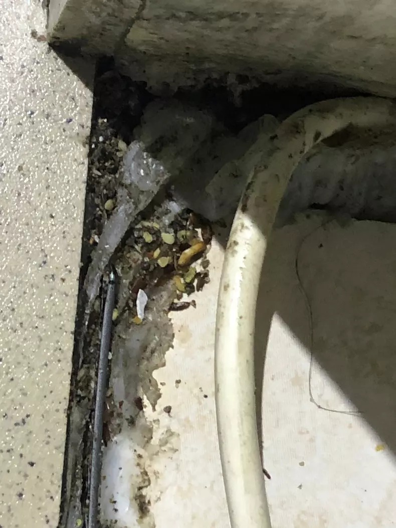 2733861253132464875026242064633843083723581n