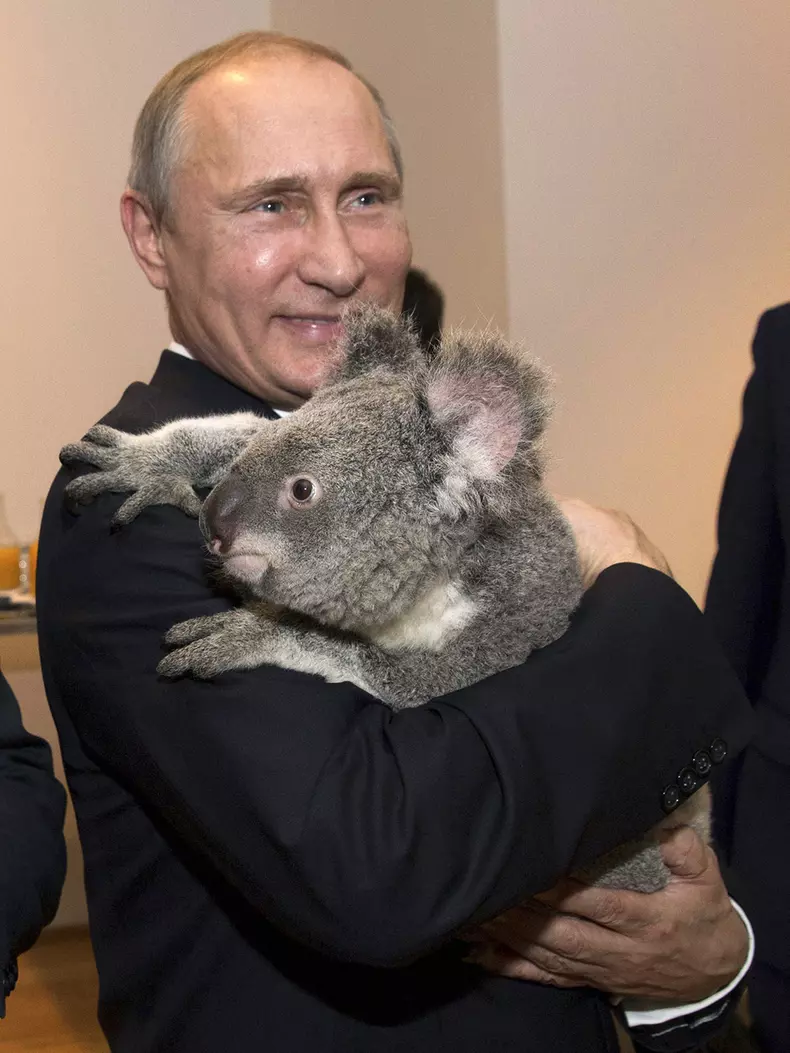 Les chefs d'…tat posent avec des koalas lors du sommet du G20 ‡ Brisbane