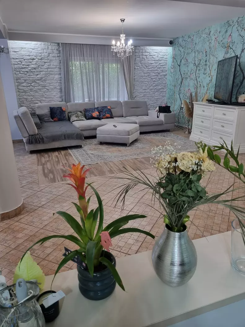 oana-roman-isi-vinde-vila-13