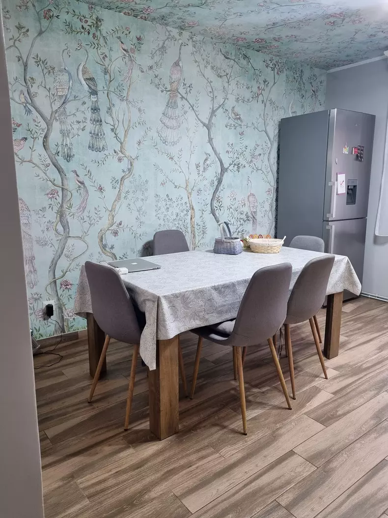 oana-roman-isi-vinde-vila-14