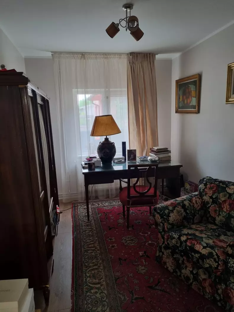 oana-roman-isi-vinde-vila-3