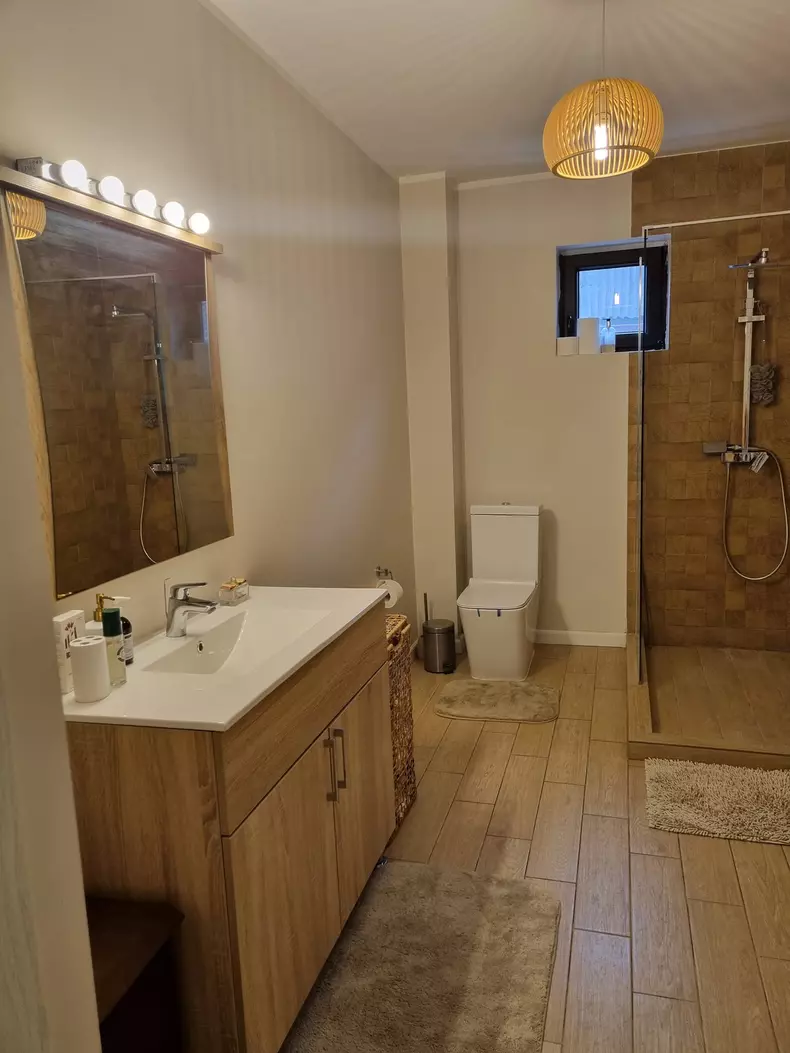 oana-roman-isi-vinde-vila-4