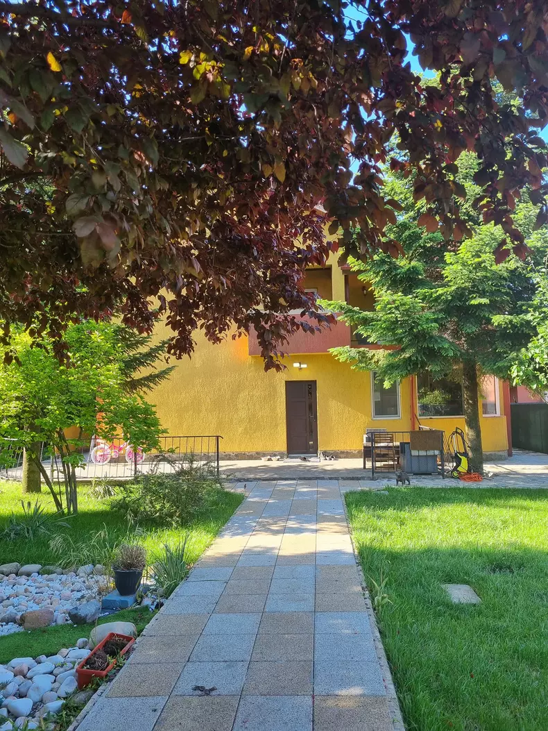 oana-roman-isi-vinde-vila-5