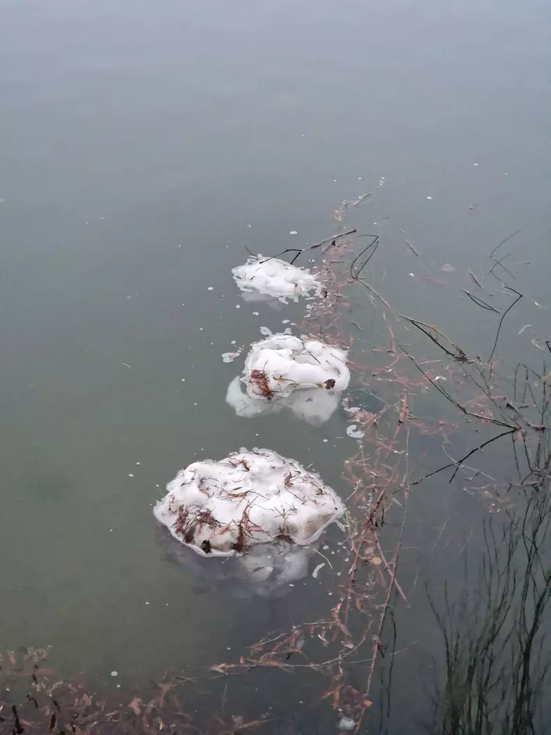 12a8376b-d3de-4568-a2b6-d4666435416b