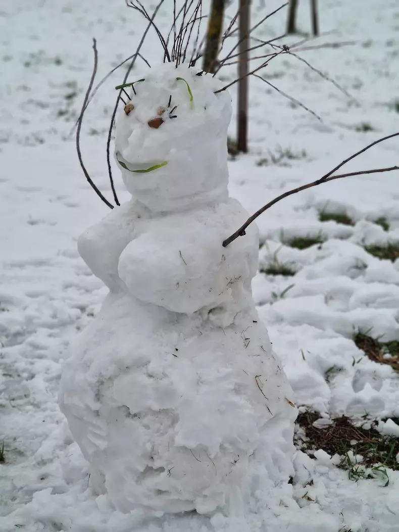 2cd2797e-8a46-4d2c-a8ac-599cb183b0c8