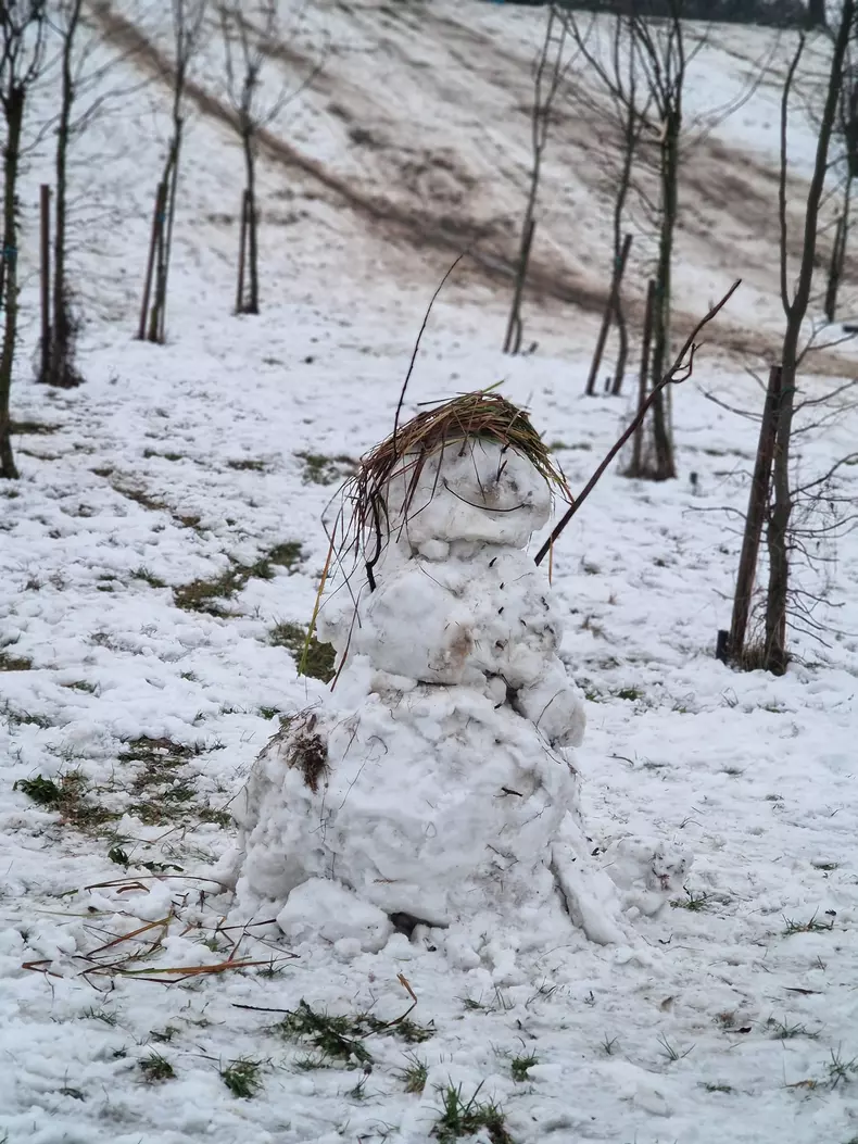 51b13550-c635-4e4e-bc41-f9ca5be49850