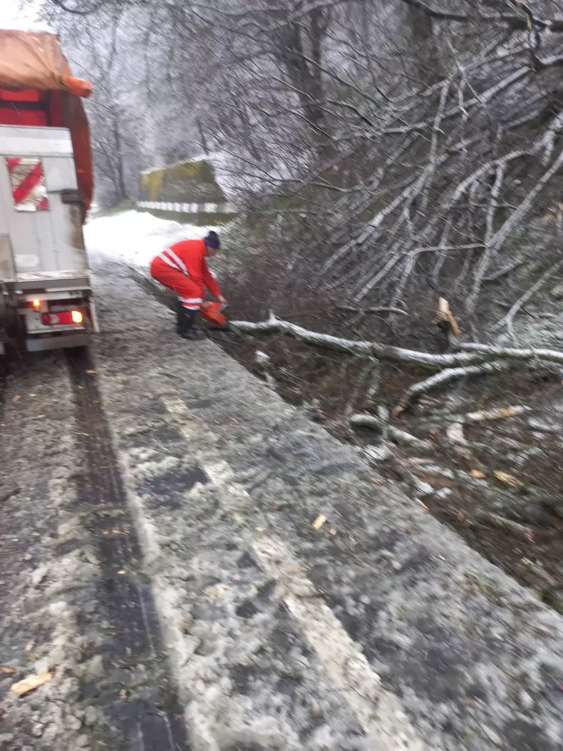 33323106111359605537363878712857623278213624n