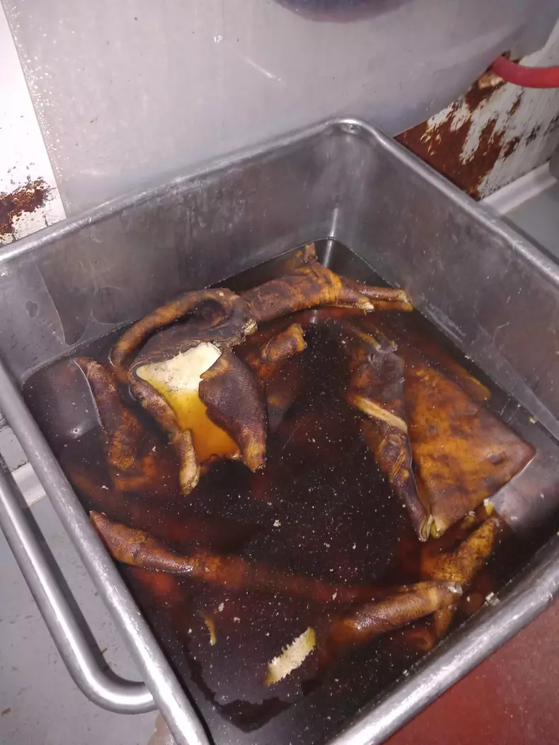 whatsapp-image-2023-05-31-at-18-51-36