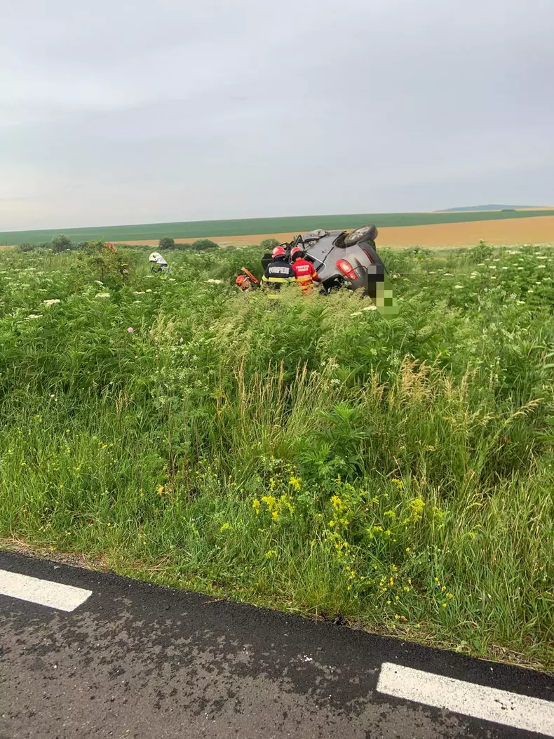 22eda01f-f29b-4caa-bbb6-9d6d078d9b80