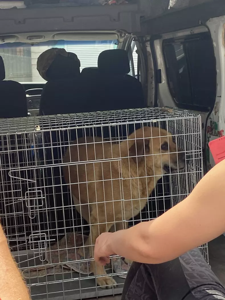 signal-2023-06-08-18-12-55-264-7