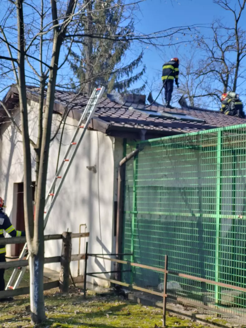 662b2dee-d3d8-4520-8512-d25ea95f5bd0