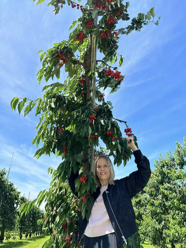 4442141269944373487052363328236670014877826n