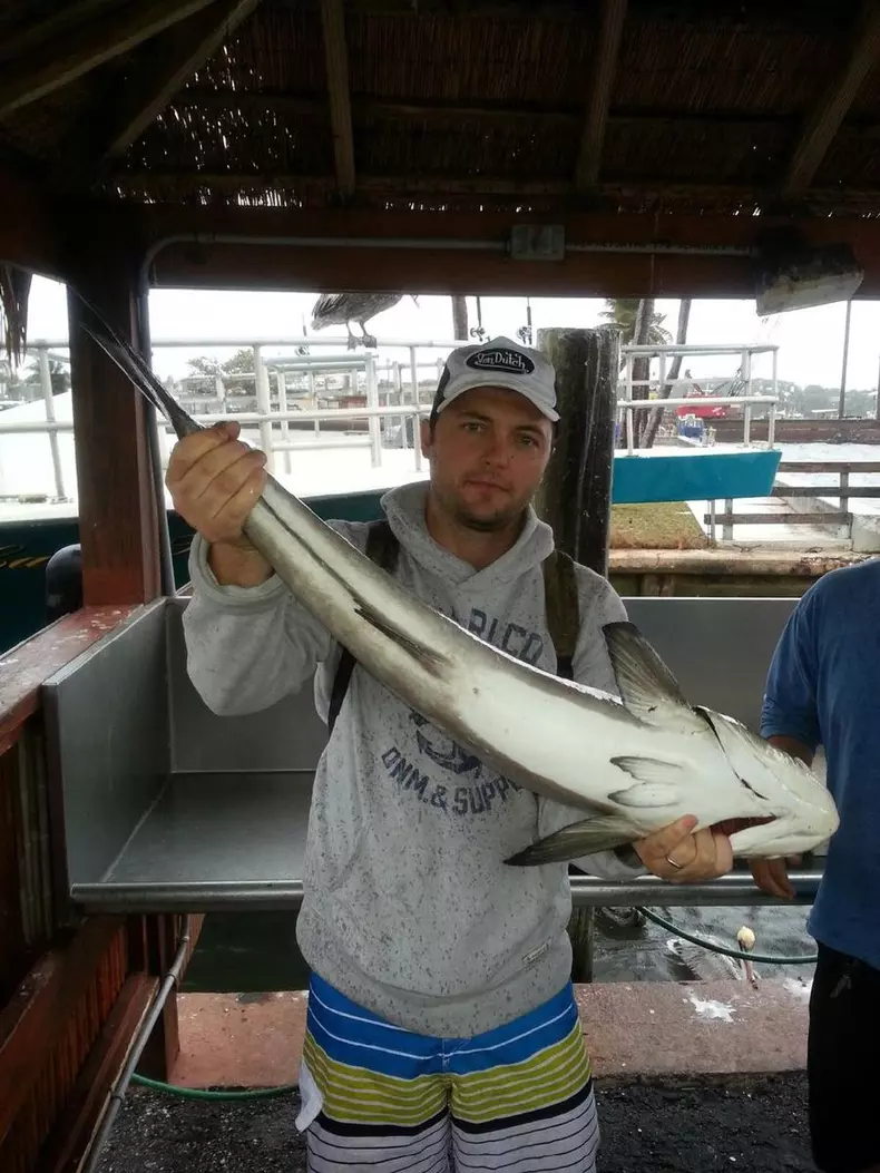 bogdan-boerean6-facebook