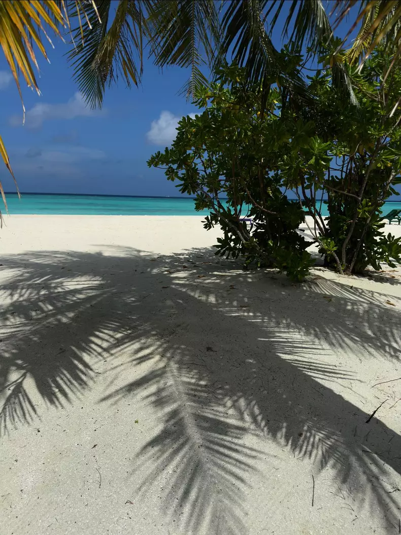 corina caragea vacanta maldive 6
