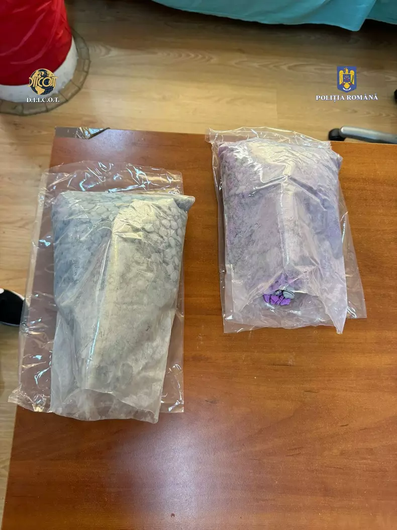 Doi tineri au fost arestati după ce au primit droguri din Olanda, ascunse intr-o punga de hrana pentru câini