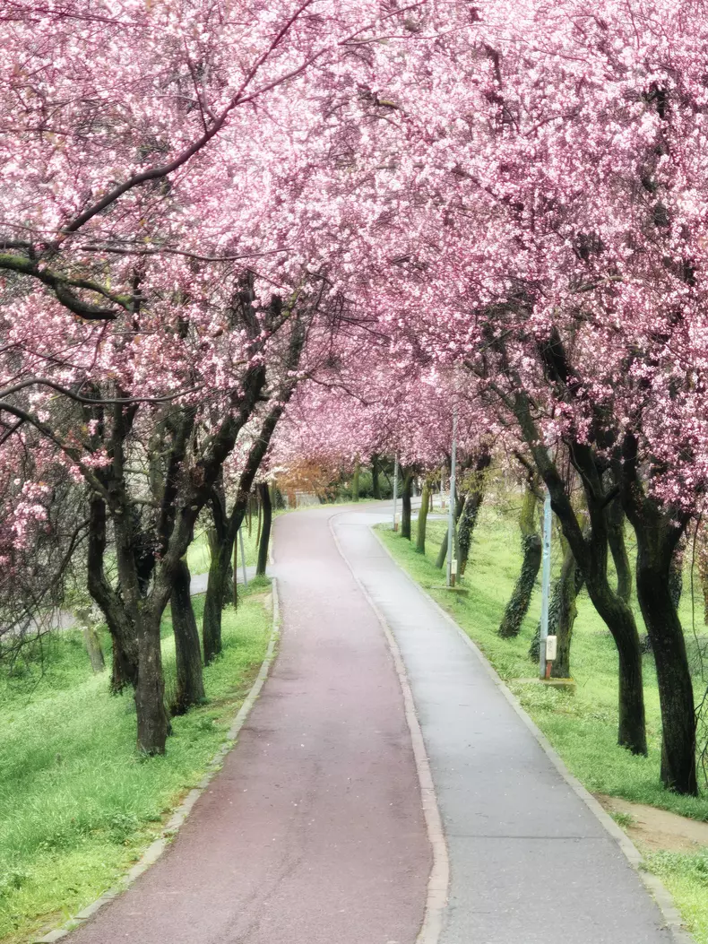 tunelul Iubirii - Razvan vitionescu