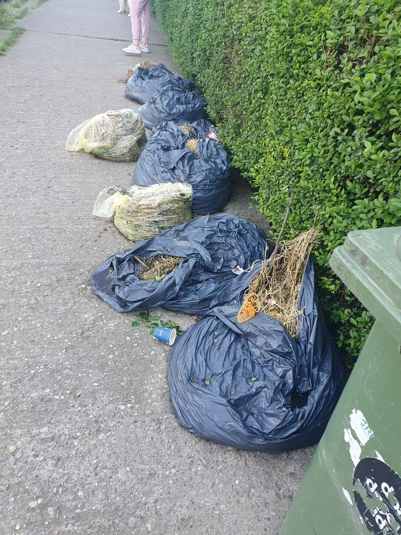 saci resturi vegetale 3